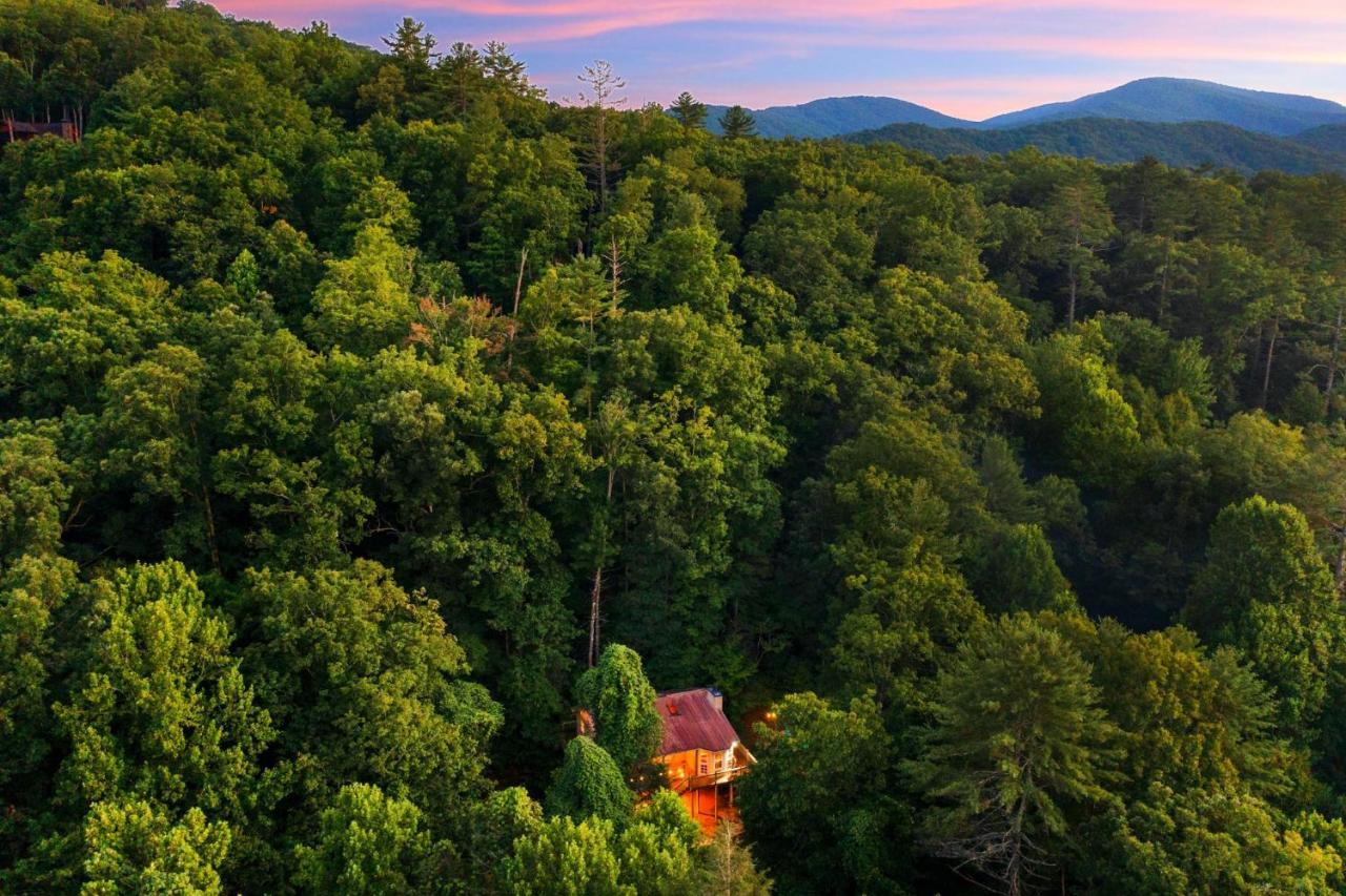 Cozy Cabin Retreat - Hot Tub, Fireplace & Fire Pit Blue Ridge Eksteriør billede